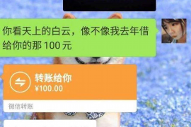 陕西陕西专业催债公司，专业催收